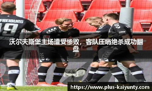 开云体育官网