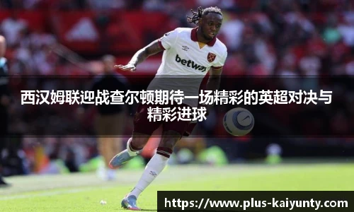 开云体育官网